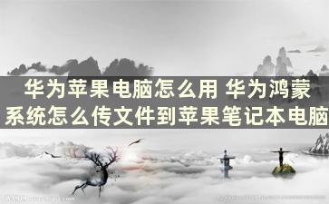 华为苹果电脑怎么用 华为鸿蒙系统怎么传文件到苹果笔记本电脑